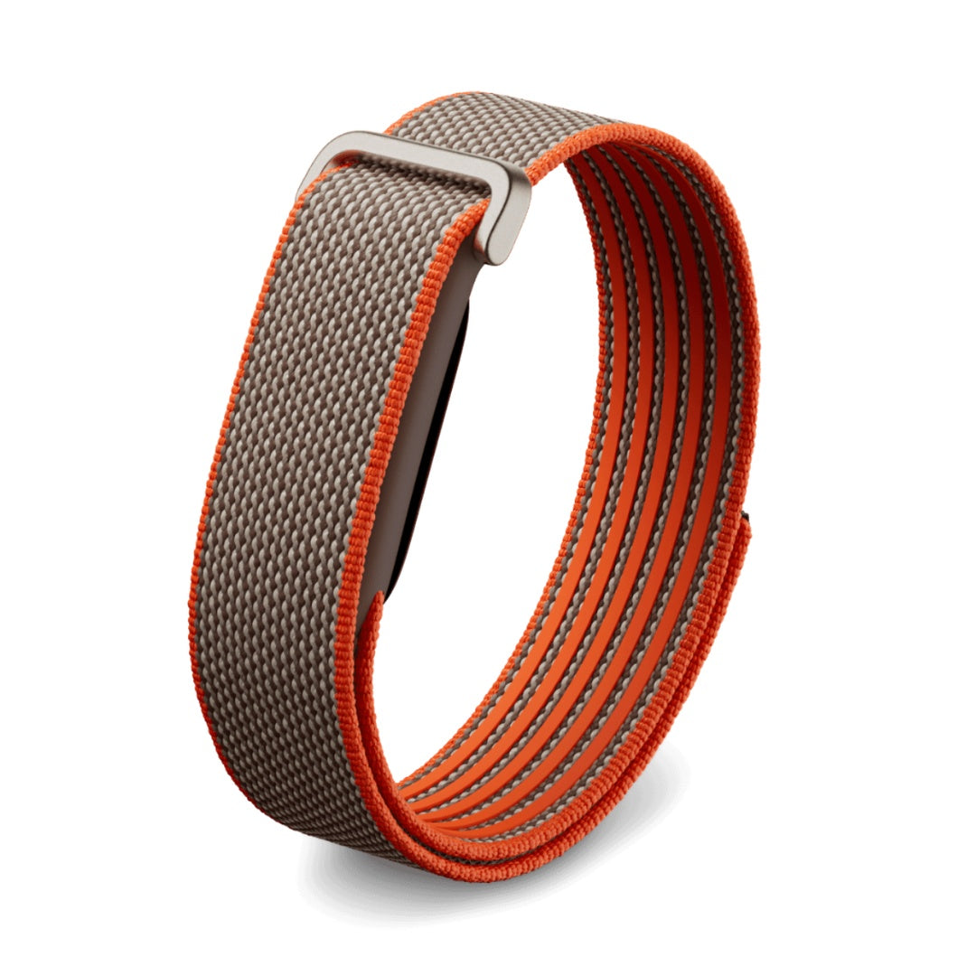 Google Fitbit Air Stephen Curry (Rye)