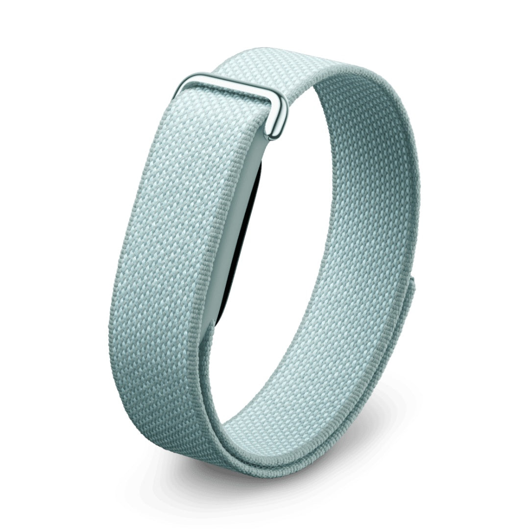 Google Fitbit Air (Fog)
